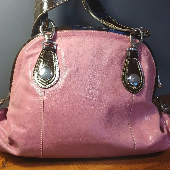 Pulicati purse